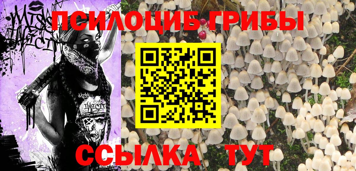 Псилоцибиновые грибы GOLDEN TEACHER Междуреченск