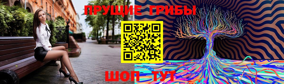 где найти наркотики  Галлюциногенные грибы мухоморы  Вход с VPN  Междуреченск 